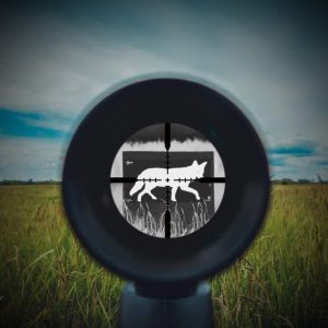 Allen EZ Aim Thermal ID Coyote Paper Target 24"x12" Grey