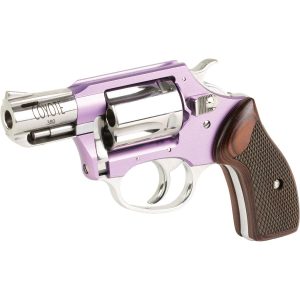 Charter Arms Coyote Lavender & SS .380 ACP 5 Shot 2''