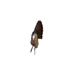 Avian-X Trophy Tom Turkey Decoy