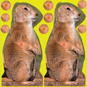 Birchwood Casey Shoot-N-C Prairie Chuck Target - 8" 12 /Pack