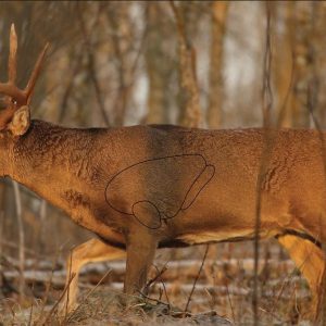 Birchwood Casey Eze-Scorer Targets Whitetail Deer Target 23"x35" 2/Pack