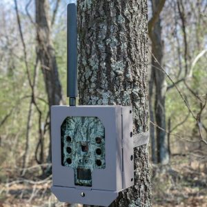 Bushnell Camera Security Box For (Cellular) CelluCore Models SD - Tan