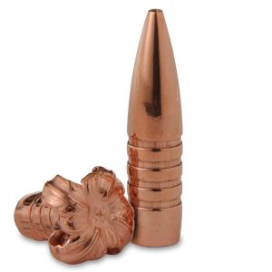 Barnes TSX Bullets .458 cal .458" 300 gr FB 20/ct