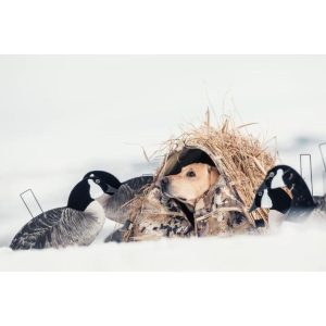 Rig'Em Right Field Bully Dog Blind Optifade Marsh