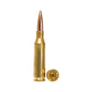Global Ordnance Rifle Ammunition 5.45x39mm 55gr FMJ 2854 fps 900/ct Case (30-30/ct Boxes)