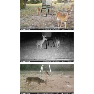 Stealth Cam Wildview 14 Infrared Flash Trail Camera