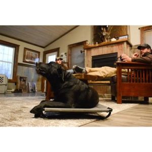 Higdon Outdoors MOmarsh Kennel Cot - Large