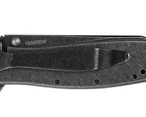 Kershaw Random Leek Reverse Tanto Assisted Folding Knife (3" BlackWash)