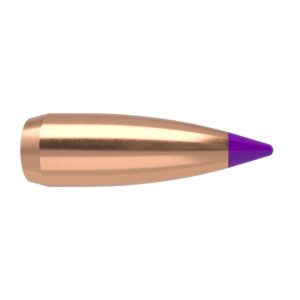 Nosler Ballistic Tip Varmint Bullets 6mm .243" 55 gr SBT-SB 250/ct