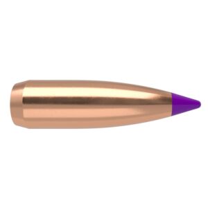 Nosler Ballistic Tip Varmint Bullets 6mm .243" 70 gr SBT-SB 250/ct