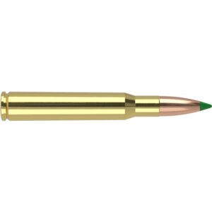 Nosler Ballistic Tip Hunting Rifle Ammunition 30-06 Springfield 180gr PT 2750 fps 20/ct