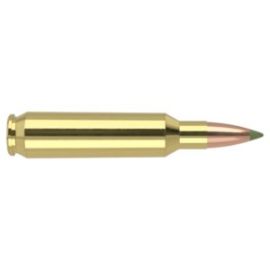 Nosler E-Tip rifle Ammunition .22 Nosler 55gr ETIP 3500 fps 20/ct