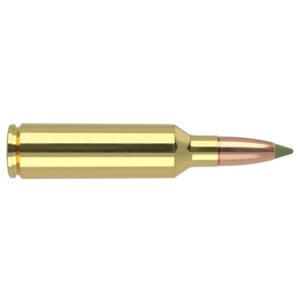 Nosler E-Tip Rifle Ammunition 270 WSM 130 gr ETIP 3200 fps 20/ct