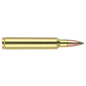 Nosler E-Tip Rifle Ammunition 300 RUM 180 gr E-Tip 3200 fps 20/ct