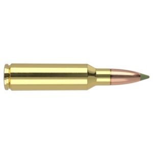 Nosler E-Tip Rifle Ammunition .300 WSM 180 gr E-Tip SP 2900 fps 20/ct