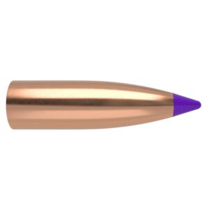 Nosler Ballistic Tip Lead Free Varmint Rifle Bullets 6mm .243" 55 gr SPTFB-BTLF 100/ct