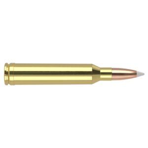 Nosler Trophy Grade Rifle Ammunition 7mm Rem Mag 160 gr AB 2925 fps 20/ct