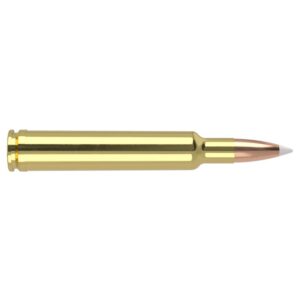 Nosler Trophy Grade Rifle Ammunition .300 Wby Mag Mag 180 gr AB 3175 fps 20/ct