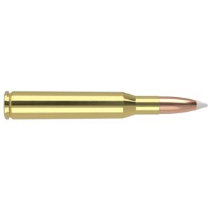 Nosler Accubond Trophy Grade Rifle Ammunition .270 Win 130 gr PT 3075 fps 20/ct
