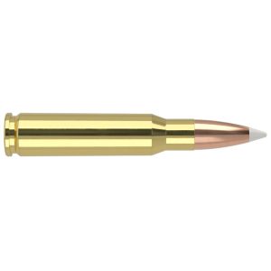 Nosler Accubond Trophy Grade Rifle Ammunition .308 Win 150 gr PT 2875 fps 20/ct