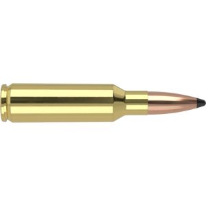 Nosler Partition Trophy Grade Rifle Ammunition .300 SAUM 180 gr PSP 2950 fps 20/ct