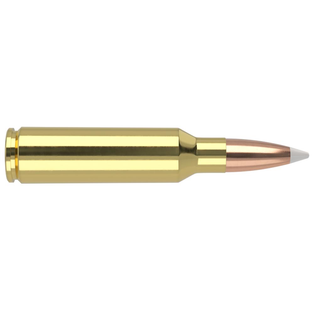 Nosler Accubond Trophy Grade Rifle Ammunition .300 WSM 180 gr PT 2950 fps 20/ct
