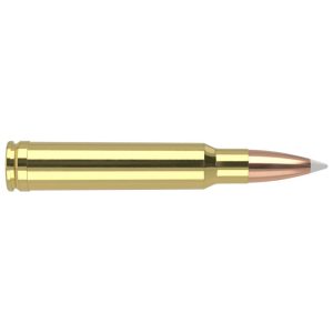 Nosler Accubond Trophy Grade Rifle Ammunition .338 Win Mag 225 gr PT 2750 fps 20/ct