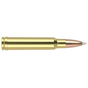 Nosler Accubond Trophy Grade Rifle Ammunition .338 Win Mag 250 gr PT 2650 fps 20/ct