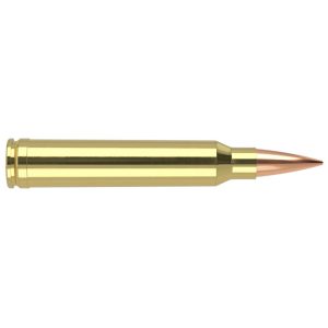 Nosler Accubond Long Range Trophy Grade Rifle Ammunition .300 WSM 190 gr PT 2875 fps 20/ct