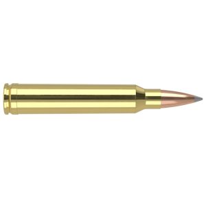 Nosler Accubond Long Range Trophy Grade Rifle Ammunition 300 Win Mag 190 gr PT 2870 fps 20/ct