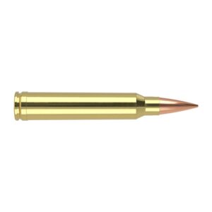 Nosler RDF Match Grade Rifle Ammunition .300 Win Mag 210 gr OTM 2750 fps 20/ct