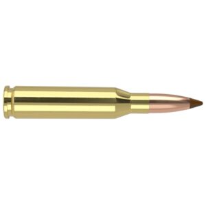 Nosler Ballistic Tip Hunting Rifle Ammunition .260 Rem 140gr PT 2700 fps 20/ct