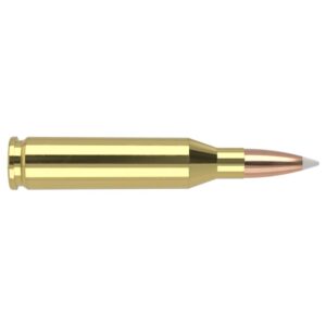 Nosler Trophy Grade Rifle Ammunition .243 Win 100g PSP 2950 fps 20/ct