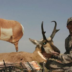 Montana Decoy Co Antelope Buck Decoy