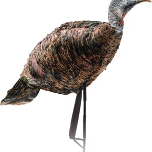 Montana DecoyCo PurrFect Pair XD Turkey Combo