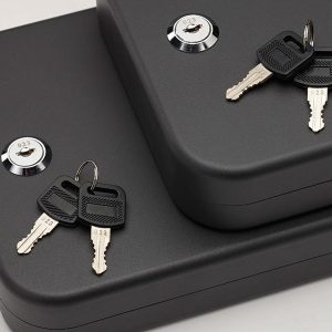 SnapSafe Extra Large Lockbox 2-Pack Keyed Alike