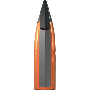 Winchester Deer Season XP Rifle Ammunition .300 Win Mag 180gr PT 2950 fps 20/ct