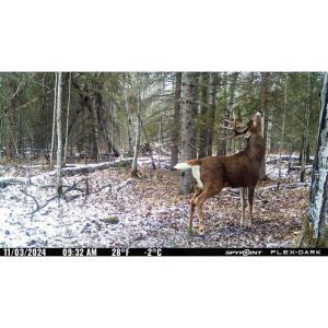 Spypoint FLEX-DARK Cellular Trail Camera