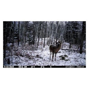 Spypoint FORCE-24 Non-Cellular Trail Camera
