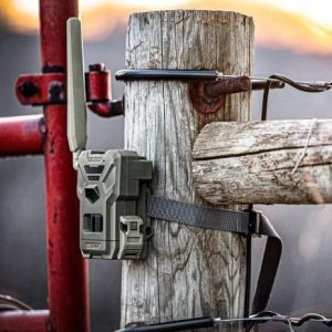 Spypoint FLEX-M Cellular Trail Camera - Twin Pack