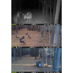 Moultrie Micro-321 Kit 2 Pack Camera Kit Tan 32MP